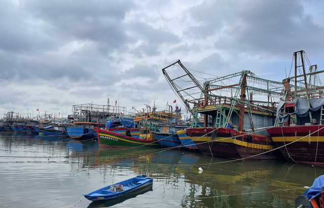 Tàu thuyền neo đậu tránh trú bão. (Ảnh minh họa. Nguồn: TTXVN) Thủ tướng chỉ đạo tập trung ứng phó với cơn bão đầu tiên của năm 2023 ảnh 1