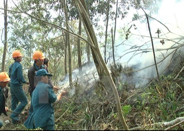 Bà Rịa-Vũng Tàu dập tắt nhiều đám cháy nhỏ ở rừng phòng hộ ảnh 1