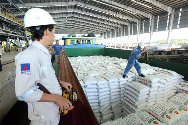 Nhà máy Đạm Cà Mau vận hành trở lại sau đợt bảo dưỡng tổng thể ảnh 1