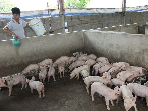 Bộ trưởng Cao Đức Phát: Đầu tư cho nông nghiệp vẫn dàn trải ảnh 1