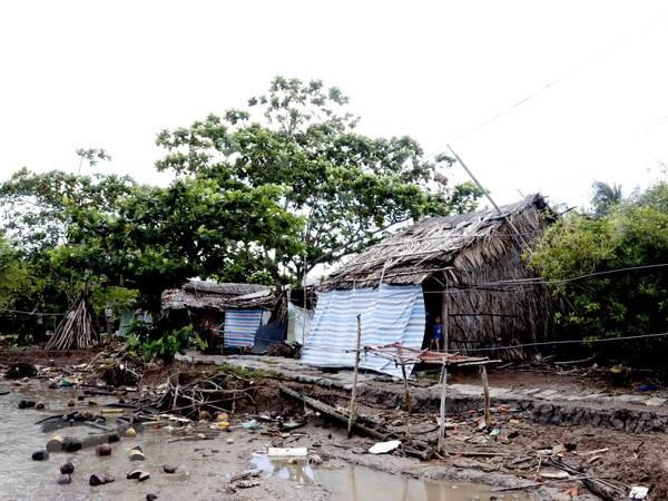 Biến đổi khí hậu 'bủa vây' vùng bán đảo Cà Mau: Sống nơi đầu sóng ảnh 2