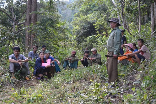 Chi trả tiền dịch vụ môi trường rừng qua tài khoản ngân hàng ảnh 1
