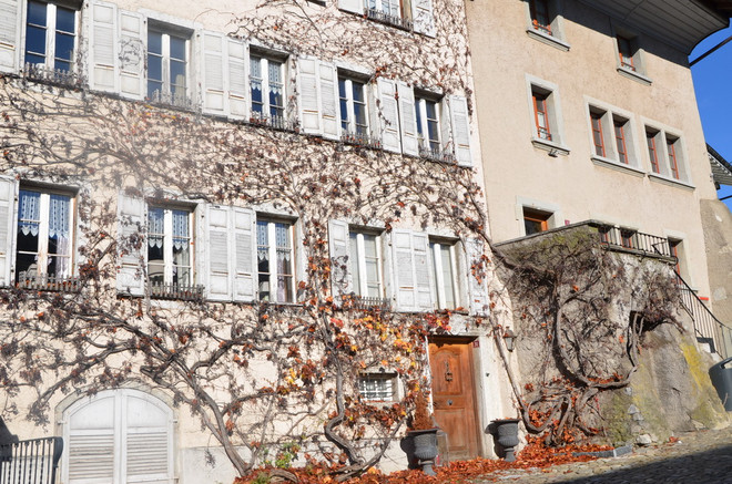 Thăm thị trấn cổ Gruyère - nơi gắn với thương hiệu phomát nổi tiếng ảnh 2