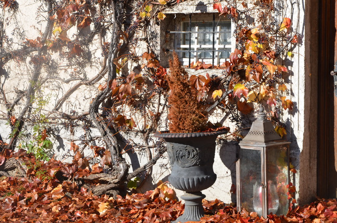 Thăm thị trấn cổ Gruyère - nơi gắn với thương hiệu phomát nổi tiếng ảnh 3