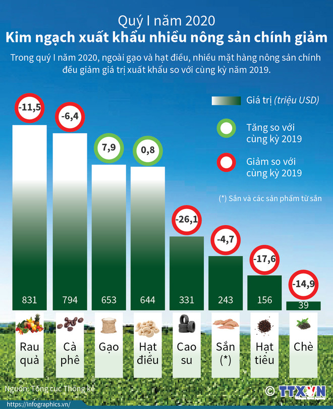 [Infographics] Kim ngạch xuất khẩu nhiều nông sản chính giảm mạnh ảnh 1