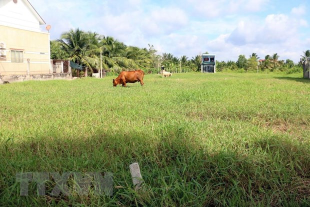 Ảnh minh họa. (Nguồn: TTXVN) Kiểm tra việc thu hồi đất của dân để làm khu công nghiệp ở Hà Nam ảnh 1