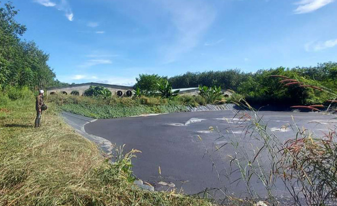 Kon Tum: Người dân bức xúc vì trại nuôi lợn gây ô nhiễm môi trường ảnh 1