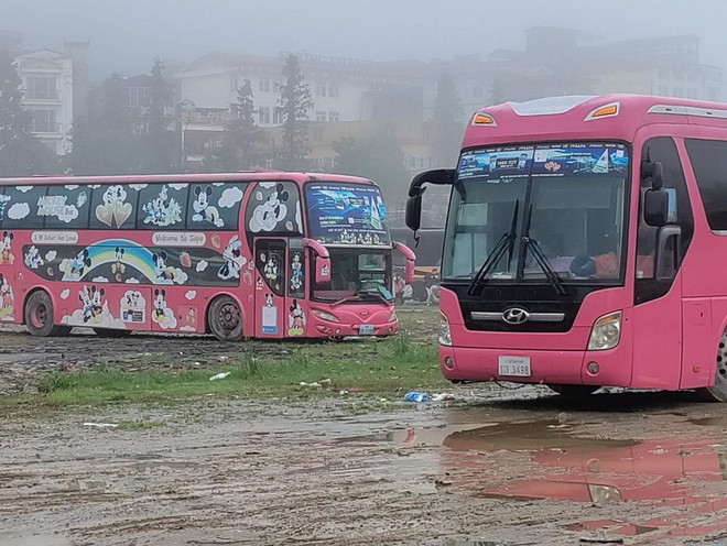 Xử lý vi phạm của xe biển số nước ngoài hoạt động vận tải hành khách ảnh 1