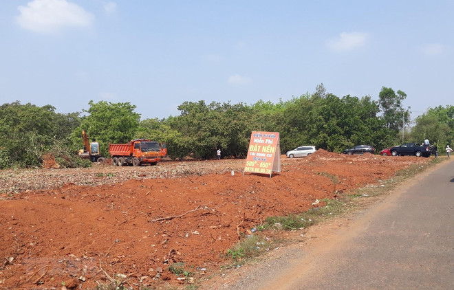 Bảo đảm nguyên tắc định giá đất phù hợp với cơ chế thị trường ảnh 2