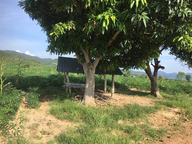 Điều tra, truy bắt nhóm đối tượng dùng dao tấn công cán bộ kiểm lâm ảnh 1