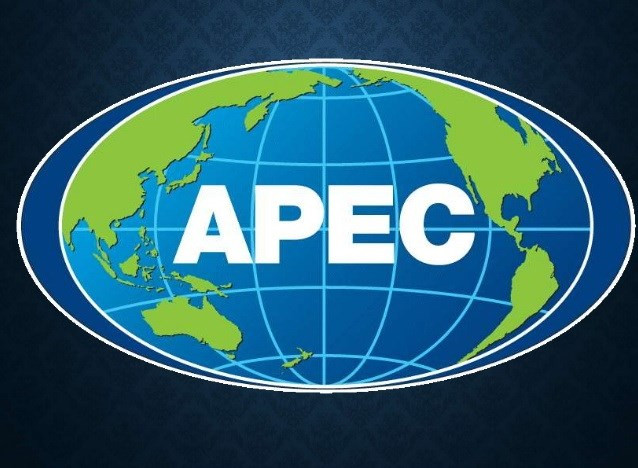 Những chủ đề chính được ưu tiên trong Năm APEC 2019 tại Chile ảnh 1