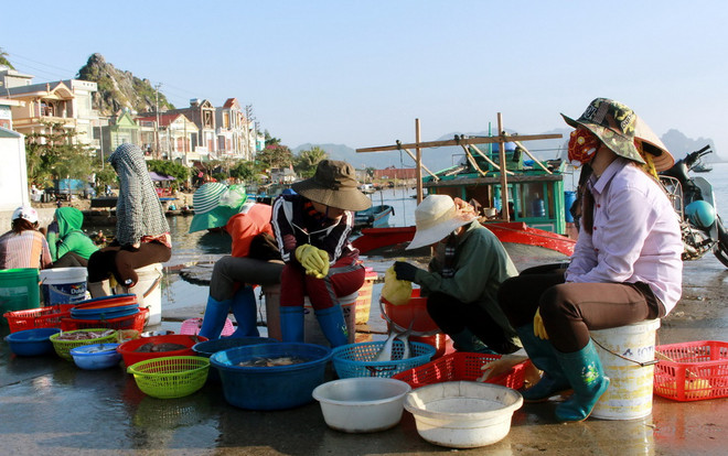 Ép lái xe và chủ hàng thu mua hải sản nộp tiền, 6 đối tượng bị bắt ảnh 1