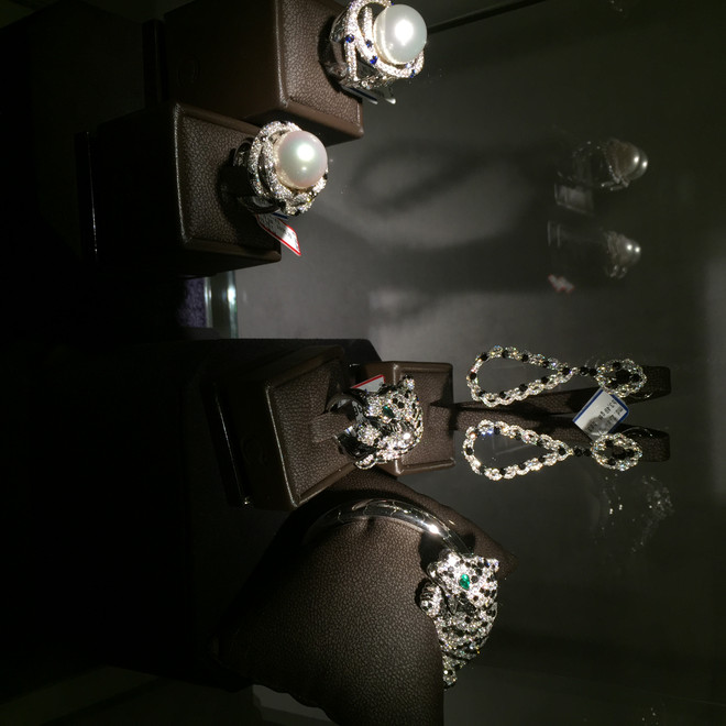 Ngắm kiệt tác kim cương phiên bản giới hạn ở triển lãm của Lý Nhã Kỳ ảnh 11