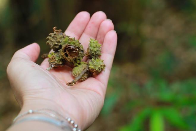 Hậu COVID-19: Xu hướng ‘xê dịch’ của người Việt sẽ thay đổi thế nào? ảnh 4