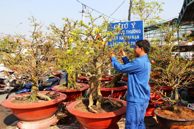 Di sản Hội An tưng bừng tổ chức hội Tết Bính Thân năm 2016 ảnh 1