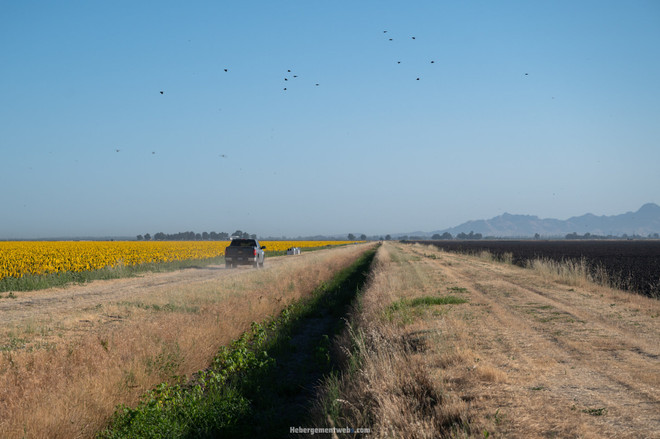 Người dân Mỹ bất lực trước tình trạng nắng nóng và hạn hán khắc nghiệt ảnh 1