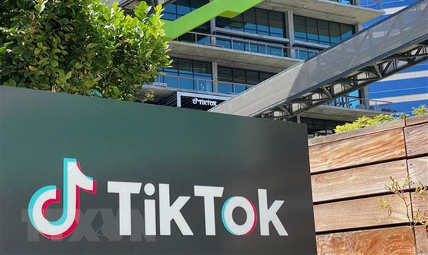 TikTok là ứng dụng có nhiều lượt tải nhất trong năm 2020 ảnh 1