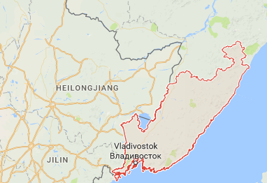 Cộng đồng người Việt tại tỉnh Primorye của Nga hướng về quê hương ảnh 1