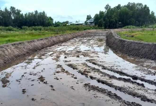 An Giang: Khiển trách giám đốc điểm du lịch xây sân đua bò trái phép ảnh 1