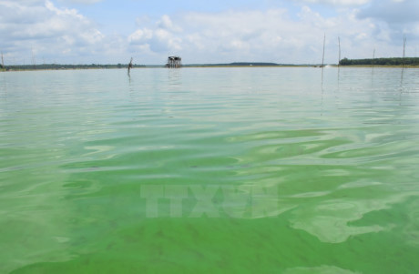 Ba nữ sinh của Đại học Ngoại thương ngã xuống sông, mất tích ảnh 1