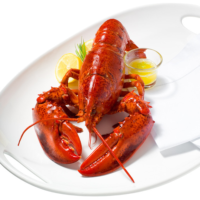 Liên hoan ẩm thực Canada chào đón mùa lễ Giáng Sinh 2014 ảnh 1