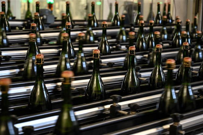 Pháp chi hàng triệu euro biến rượu vang dư thừa thành cồn công nghiệp ảnh 1