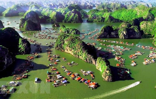 Thành lập Hội đồng thẩm định Quy hoạch không gian biển quốc gia ảnh 1