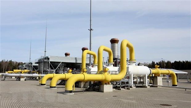 Đức tăng cường biện pháp dự phòng trong trường hợp thiếu khí đốt ảnh 1