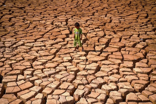 Ngày Quốc tế chống sa mạc hóa và hạn hán 17/6: Khắc phục suy thoái đất ảnh 2