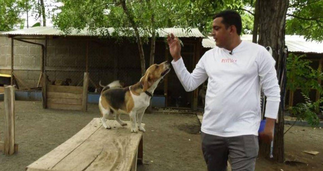 Anh Alfredo Pérez, 33 tuổi, là chủ sở hữu Escuela Canina de Nicaragua.(Nguồn: Laprensa) Độc đáo ngôi trường dành cho chó khiếm khuyết ở Nicaragua ảnh 1