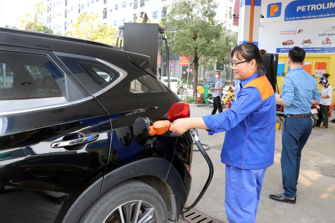 ttxvn_hoa don dien tu 4.jpg