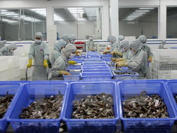 Hỗ trợ các doanh nghiệp nhỏ và vừa với tổng số tiền 560 tỷ đồng ảnh 1