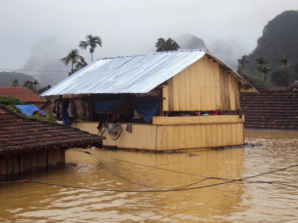 Kiến trúc sư Đan Mạch triển lãm về nhà nổi tại Việt Nam ảnh 1