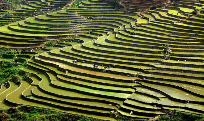 Ngất ngây với những mùa hoa tạo nên thương hiệu "Sắc màu Tây Bắc" ảnh 1