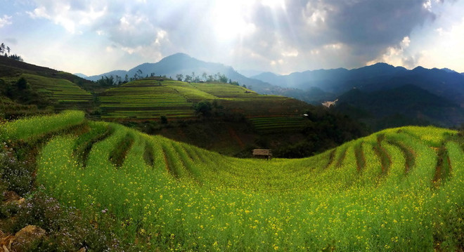 Ngất ngây với những mùa hoa tạo nên thương hiệu "Sắc màu Tây Bắc" ảnh 2