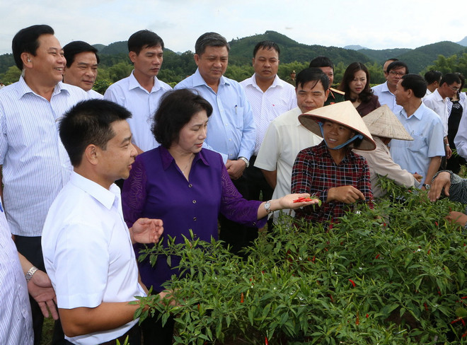 Chủ tịch Quốc hội Nguyễn Thị Kim Ngân thăm mô hình cánh đồng trồng ớt tại thôn Bắc Đông 2, xã Gia Cát, huyện Cao Lộc, tỉnh Lạng Sơn. (Ảnh: Trọng Đức/TTXVN) Chủ tịch Quốc hội: Lạng Sơn chú trọng cải thiện môi trường đầu tư ảnh 1