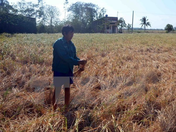 Thủy điện Cảnh Hồng tăng xả nước xuống hạ lưu Mekong từ 21/4 ảnh 1