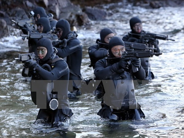 Hàn Quốc bác bỏ đề xuất tập trận đối phó Triều Tiên của Mỹ, Nhật ảnh 1