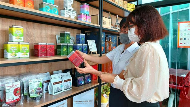 Diễn đàn khởi nghiệp đổi mới sáng tạo vùng Đồng bằng sông Cửu Long ảnh 1