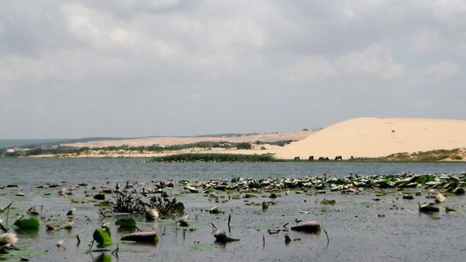 Bình Thuận đẩy mạnh thu hút đầu tư, khai thác lợi thế du lịch ven biển ảnh 3