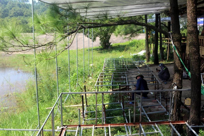 Xử lý dứt điểm việc xâm lấn đất rừng làm du lịch ở Uông Bí ảnh 1