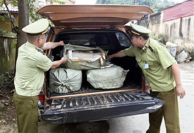 Thu giữ 400kg nầm lợn nhập lậu không đảm bảo vệ sinh thực phẩm ảnh 1