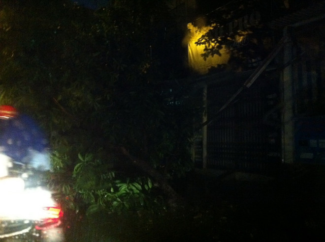 Mưa bão gây ngập và đổ cây trên một số tuyến phố của Hà Nội ảnh 1