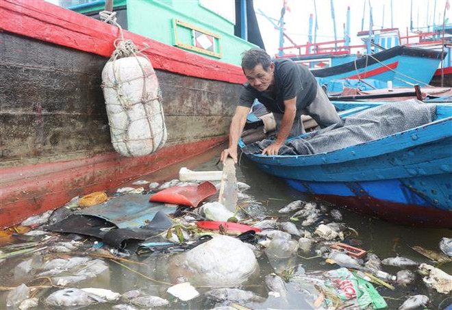 Phú Yên: Cá nuôi trên sông Lễ Thịnh chết hàng loạt, gây thiệt hại nặng ảnh 1