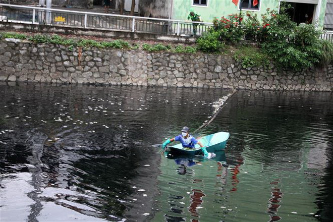 Nghệ An: Cá chết nổi trắng hào Thành cổ Vinh, bốc mùi hôi thối ảnh 2