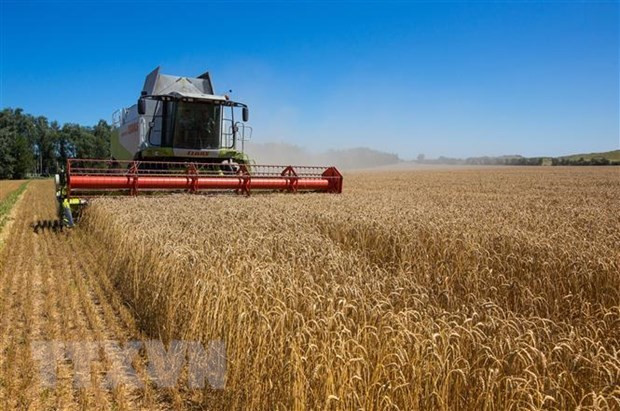 Nga đề xuất biện pháp giải quyết ngũ cốc thừa của Ukraine ảnh 1