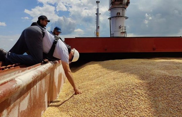 Tranh cãi về ngũ cốc không ảnh hưởng quan hệ Ukraine-Ba Lan ảnh 1