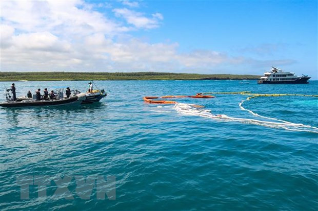 Sự cố tràn dầu tại Vịnh Thái Lan có thể ảnh hưởng đến rạn san hô ảnh 1