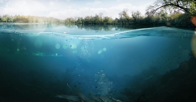 Singapore khai trương trung tâm nghiên cứu ứng phó với nước biển dâng ảnh 1