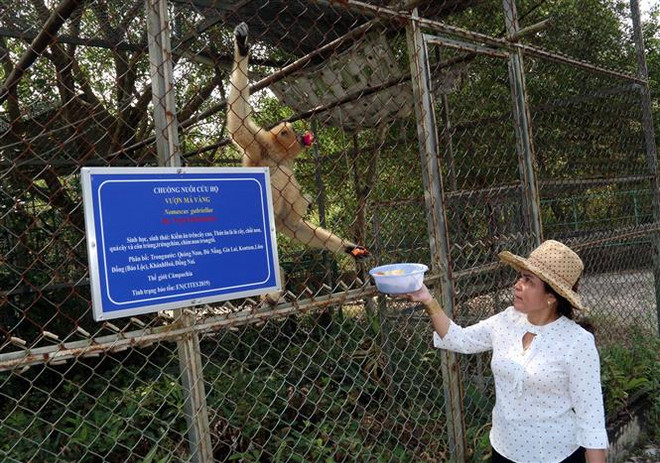 'Ngôi nhà thứ hai' của động vật hoang dã ở Vườn Quốc gia U Minh Thượng ảnh 2